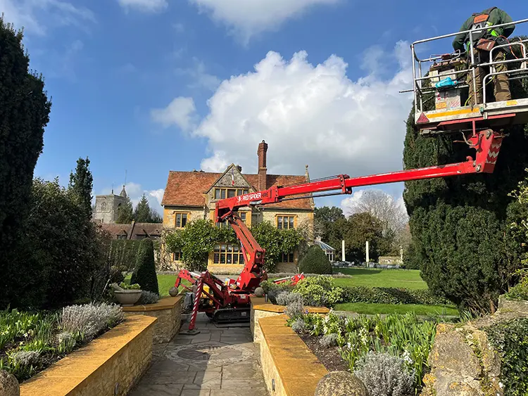 img4-2025-top-right2